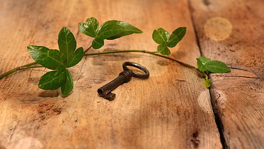 black skeleton key lying on brown surface thumbnail