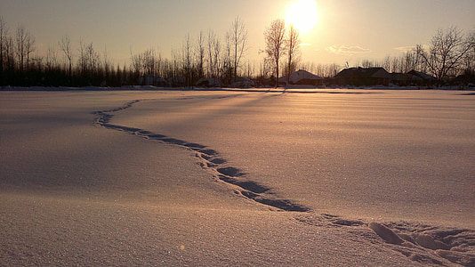 field of snow at sunset thumbnail