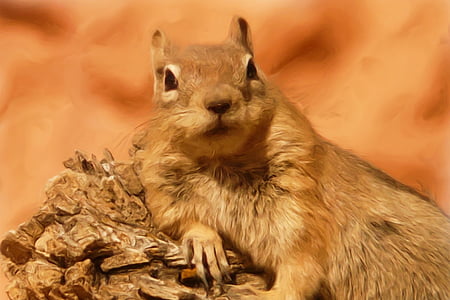 shallow focus photography of brown squirrel thumbnail