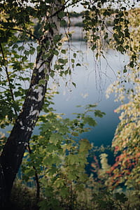 Zakrzówek reservoir, the old limestone quarry flooded with water thumbnail