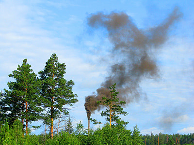 green trees near tower with brown smoke thumbnail
