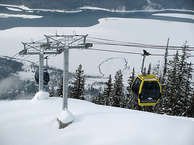 yellow and black cable cars thumbnail