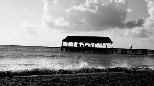 grayscale photo of a shed and body of water thumbnail