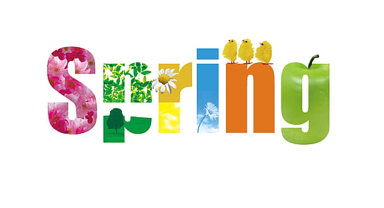 white background with spring text overlay thumbnail