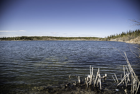 Marshy and lake landscape on the Ingraham Trail thumbnail