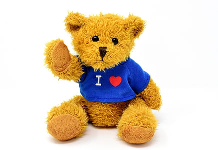 brown bear wearing purple shirt plush toy thumbnail