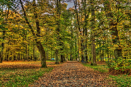 green tree thumbnail