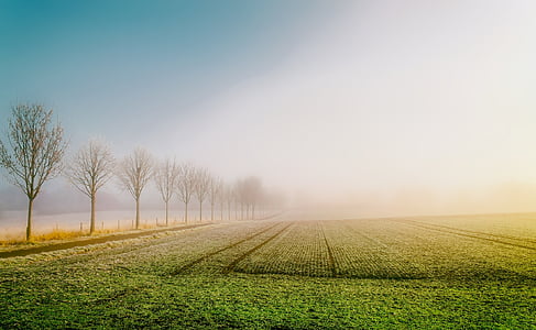 landscape photography of grass field during daytime thumbnail