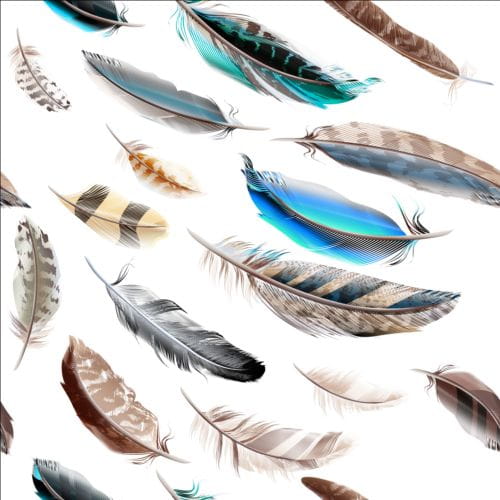 Fashion feathers seamless pattern vectors 01 ai file