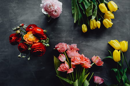 Colorful flowers on grey background with copy space thumbnail