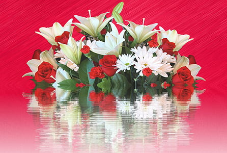 white-and-red flowers thumbnail