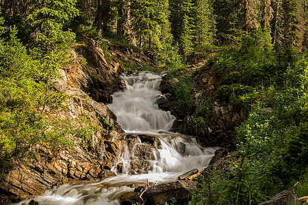 waterfalls near brush during daytime thumbnail