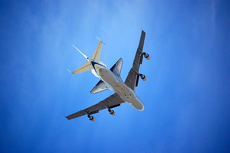 white and gray airplane during daytime thumbnail