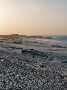 seashore under clear skies thumbnail