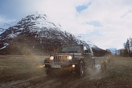 gray Jeep Wrangler on road thumbnail