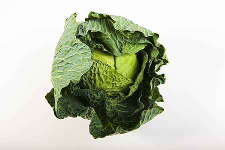 cabbage thumbnail