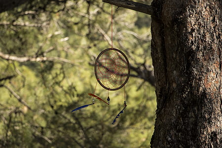 close-up photo of dream catcher thumbnail