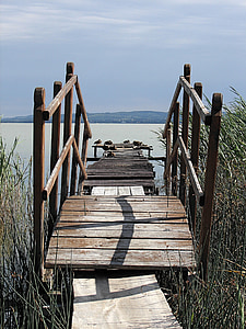 brown wooden dock during daytime thumbnail