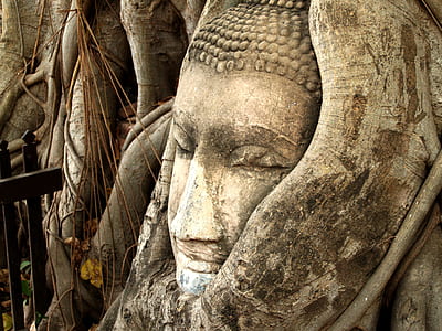 art, landmark, statue, fence thumbnail