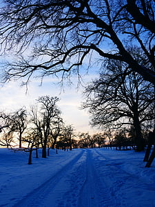 road covered with snows thumbnail