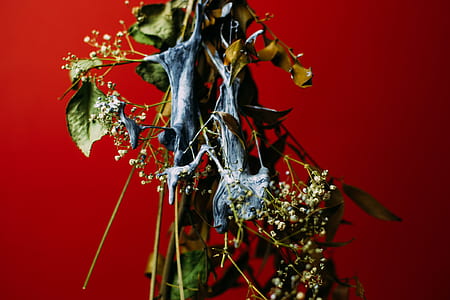 red, flowers, leaves, green thumbnail