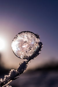 fucos photography of ice thumbnail