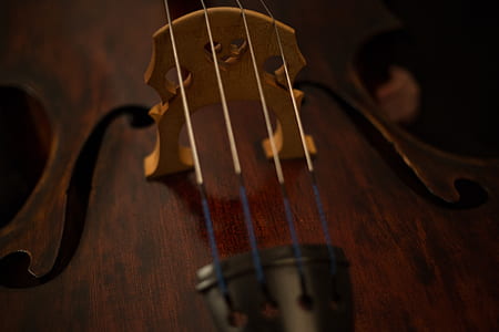 brown violin thumbnail