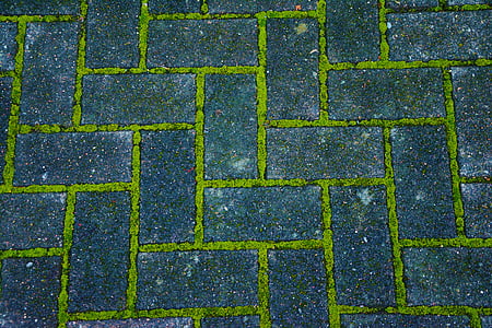 green and grey concrete pavement thumbnail