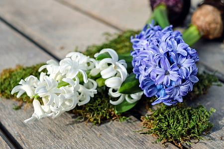 white and purple cluster flowers on brown wooden surface thumbnail