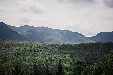 landscape photography of green leafed trees surrounded by mountains thumbnail