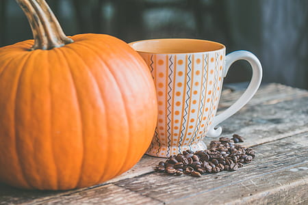 Orange Pumpkin Near White Ceramic Mug With Seeds thumbnail