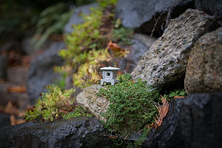 garden, rock, stone, minature thumbnail