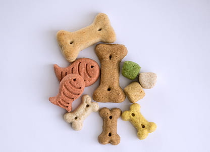 assorted-shape pet treats thumbnail