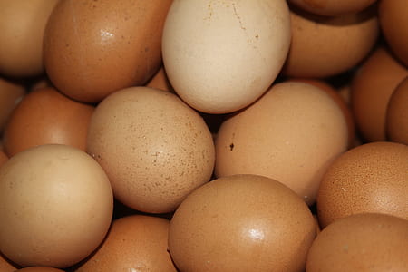 bunch of organic eggs thumbnail