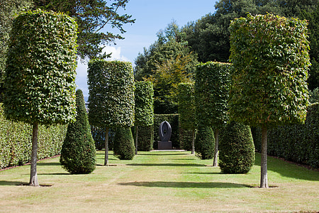 green leafed trees thumbnail