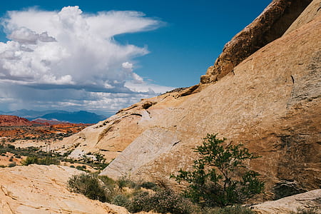 brown mountain with plants thumbnail