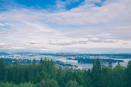 green trees under blue sky thumbnail