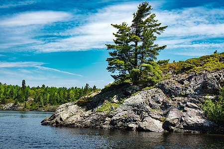 Landscape of the shore with rocks and tree thumbnail