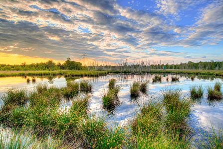 green grass field thumbnail