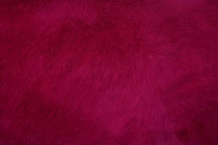 red, fur, texture, abstract thumbnail
