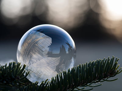 selective focus photography of frozen bubble on green twig thumbnail