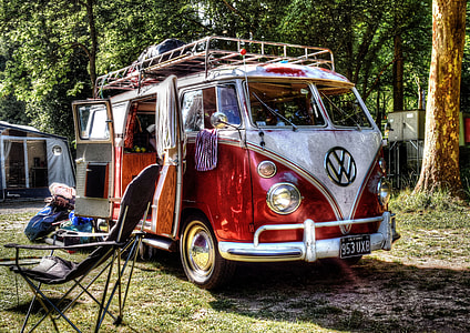 red and white Volkswagen Kombi parked in middle of forest thumbnail