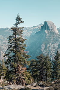 trees on top of mountain thumbnail