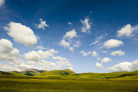 green grass lawn under blue sky thumbnail