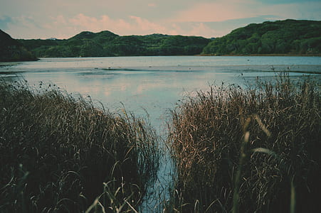body of water near green grass field beside island during daytime thumbnail