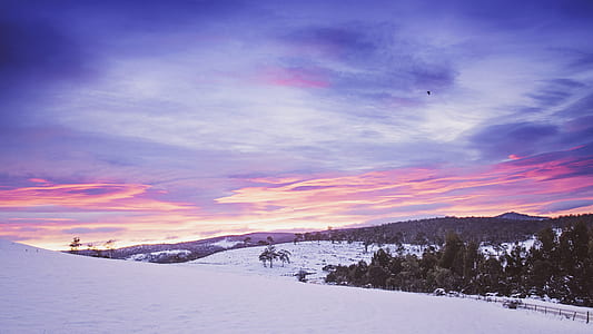 cold, snow, dawn, nature thumbnail