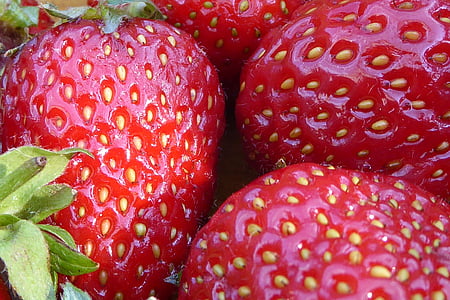 closeup photography of three strawberry fruits thumbnail