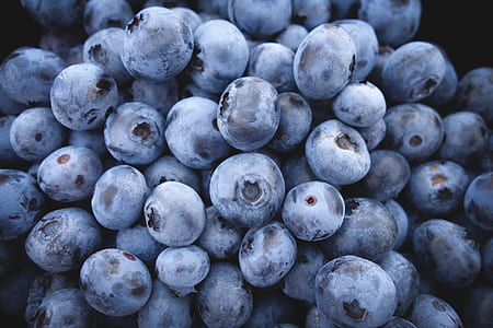 blueberries thumbnail