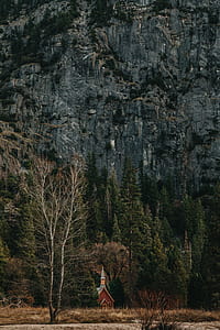 brown barn behind forest and mountain thumbnail