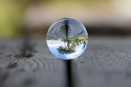 water droplet reflecting tree in macro shot thumbnail